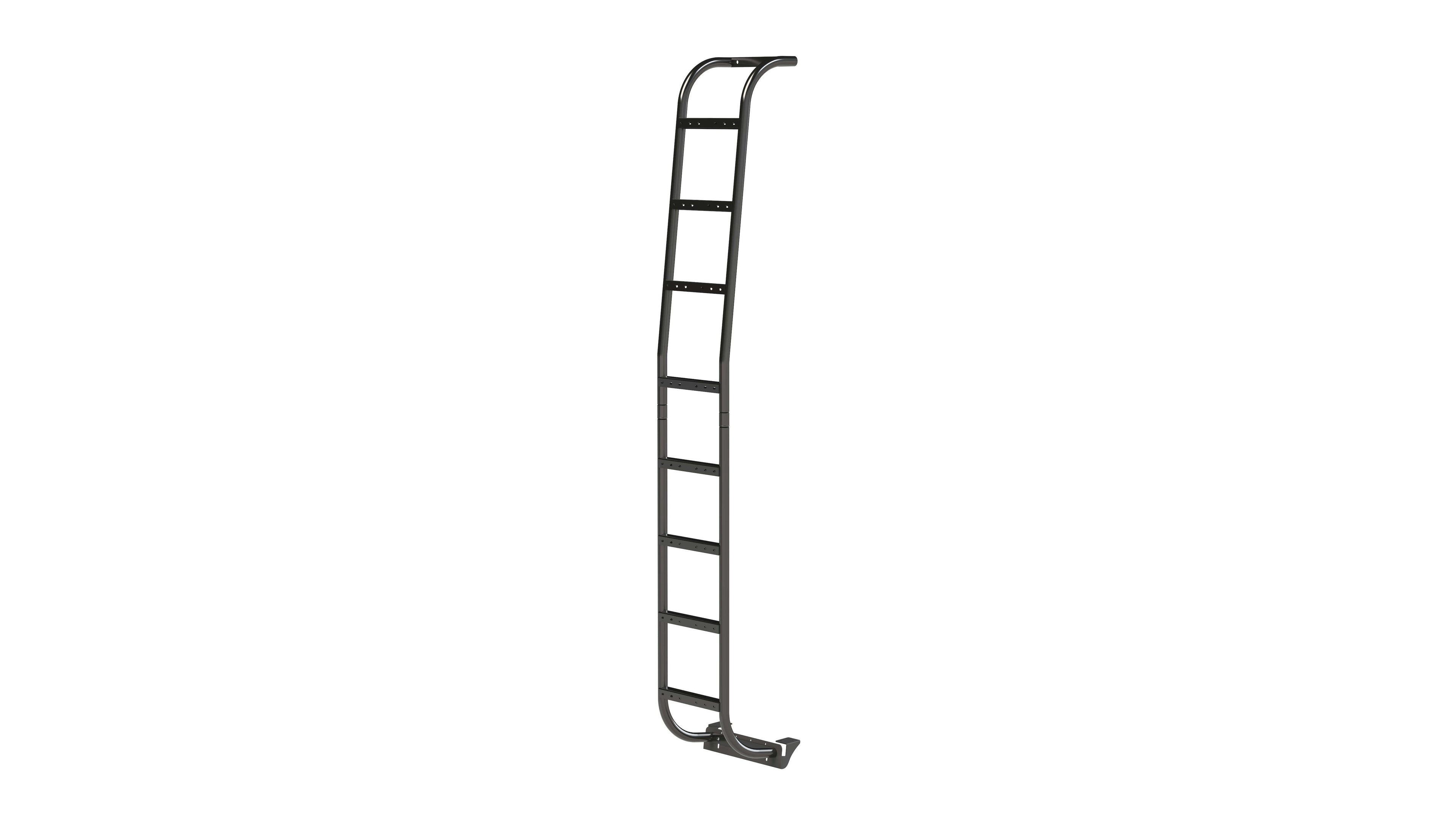 Promaster High Roof Side Ladder